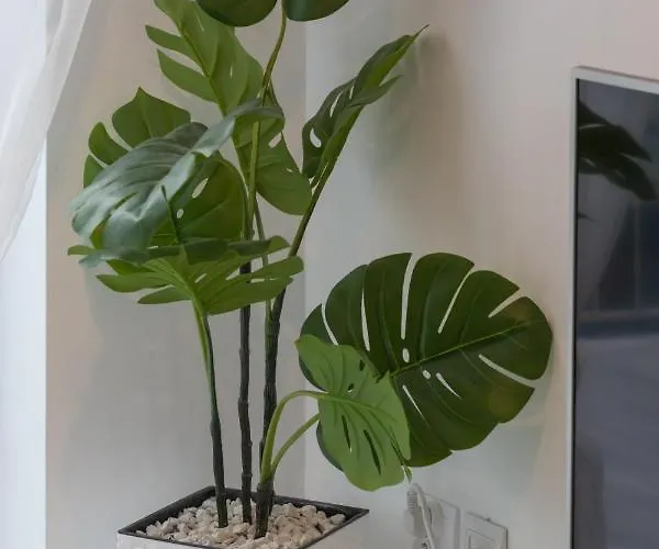 Kapitanski Mostek By Renters Apartmán